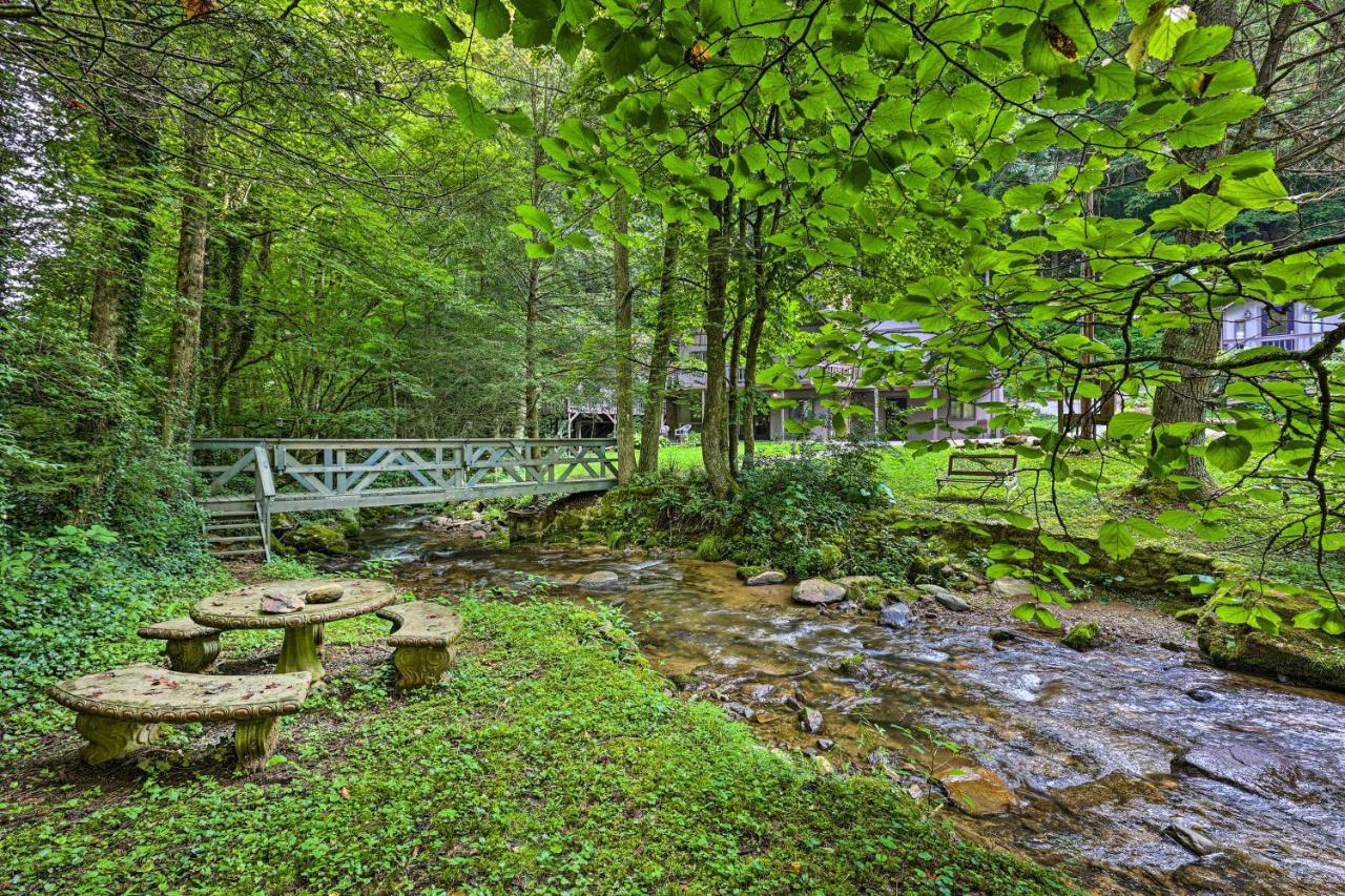 Roan Mountain Creekside Cabin Hike And Fish! Zewnętrze zdjęcie