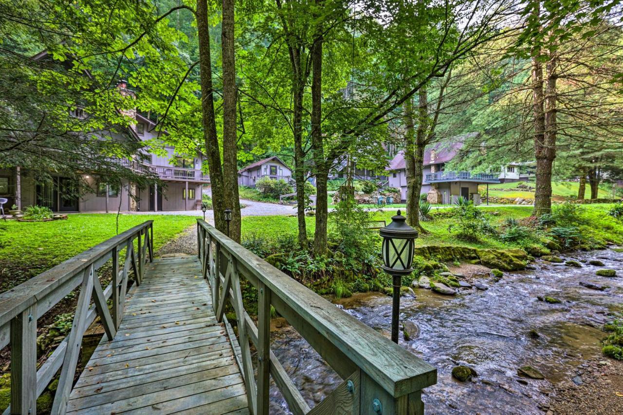 Roan Mountain Creekside Cabin Hike And Fish! Zewnętrze zdjęcie